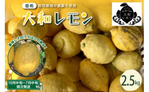 栽培期間中農薬不使用　大和レモン 2.5kg　新鮮 発送日に収穫 檸檬 レモン 果物 くだもの フルーツ ビタミンC 送料無料 広島県 呉市 2063032 - 広島県呉市