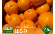 [2026年1月下旬〜発送]倉橋ミカン食べてクレ園 はるみ 約2.5kg ku154-006-25