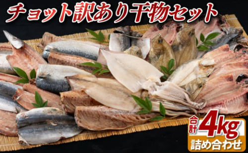 A449 〈かけはし水産〉チョット訳あり干物セット