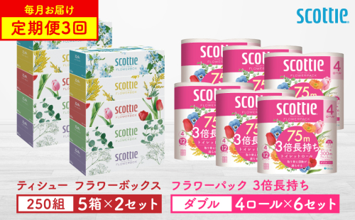 【定期便3回】【毎月1回お届け】【スコッティ】ティシュー フラワーボックス 250組（5箱パック×2セット）＋フラワーパック 3倍長持ち（4ロール(ダブル)パック×6セット）ティッシュ トイレットペーパー 日用品 2064023 - 熊本県八代市