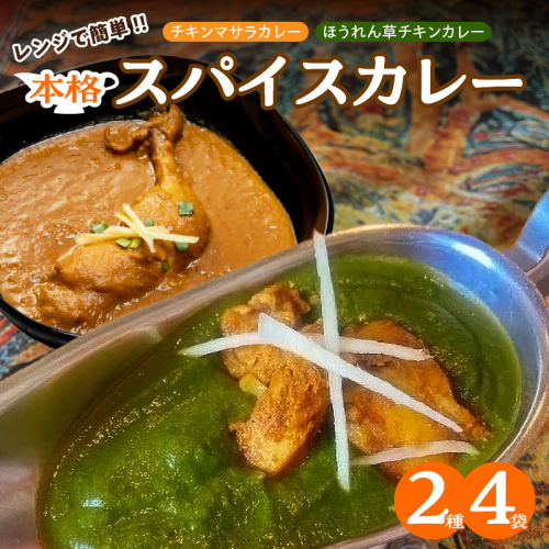 【レンジで簡単】本格スパイスカレー２種４袋セット 本格スパイスカレー 食べ比べ おやつ H177-007 2064171 - 愛知県碧南市