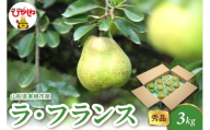 2025年産 ラ・フランス3kg（6-13玉） 秀品 山形県 東根市 hi082-021-1