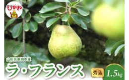 ■説明山形県が生産日本一の「ラ・フランス」上品な香りととろりとした果肉、しっかりした甘味と程よい酸味のバランスが抜群！！果物の女王と評される東根産ラ・フランスをぜひご賞味ください！！■産地山形県東根市