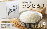 福知山産コシヒカリ　精米10㎏（10㎏×1袋）/  コシヒカリ 令和6年度産 10kg 白米 単一原料米 京都 京都府 福知山 FCES001