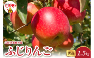 2025年産 ふじりんご 1.5kg（3-7玉） 秀品 山形県 東根市 hi082-015-1