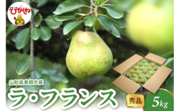 ■説明山形県が生産日本一の「ラ・フランス」上品な香りととろりとした果肉、しっかりした甘味と程よい酸味のバランスが抜群！！果物の女王と評される東根産ラ・フランスをぜひご賞味ください！！■産地山形県東根市