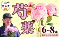 [先行予約]芍薬 切花 おまかせ2〜3品種 6〜8本セット[出荷時期:2026年5月中旬頃〜]太田農園 | 長野県 飯山市シャクヤク 花 お花 フラワー 母の日 プレゼント (Cb-001)