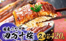 高知県内で最も盛んにしらすうなぎ漁が行われる川が四万十川であり、初春には灯りを使って水面を照らす幻想的な漁がピークを迎えます。旬を迎えたしらすうなぎは特に元気が良いため、私たちはこの時期の四万十川のし