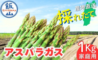 [2026年発送 先行予約]飯山産新鮮アスパラ 家庭用 10束(1束3〜6本)1kg[出荷時期:2026年5月上旬〜](At-028)│信州 飯山 アスパラ 春アスパラ 露地栽培 おすすめ