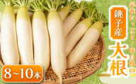 【先行予約】 大根 8～10本 数量限定 期間限定 大容量 旬の野菜 旬の味覚 だいこん 大根サラダ サラダ 生野菜 漬物 大根おろし 味噌汁 大根餅 煮物 大根ステーキ たくあん ふろふき大根 ぶり大根 豚バラ大根 おでん 和食 生産量 日本一 贈答 プレゼント 贈り物 ギフト 贈答 グルメ 発送時期 2026年4月～(なくなり次第終了)  ふるさと納税 送料無料 千葉県 銚子市 小野商店