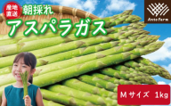 アスパラガス Mサイズ 1kg 2025年 3月から9月末まで発送 せいくらべ アスパラ 季節 春 野菜 新鮮 旬 煮物 炒め物 漬物 鍋 味噌汁 家庭用 弁当 惣菜 おかず 健康 栄養 Anto Farm 阿南 徳島