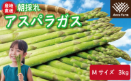 アスパラガス Mサイズ 3kg 2025年 3月から9月末まで発送 せいくらべ アスパラ 季節 春 野菜 新鮮 旬 煮物 炒め物 漬物 鍋 味噌汁 家庭用 弁当 惣菜 おかず 健康 栄養 Anto Farm 阿南 徳島