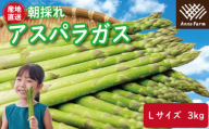 アスパラガス Lサイズ 3kg 2025年 3月から9月末まで発送 せいくらべ アスパラ 季節 春 野菜 新鮮 旬 煮物 炒め物 漬物 鍋 味噌汁 家庭用 弁当 惣菜 おかず 健康 栄養 Anto Farm 阿南 徳島