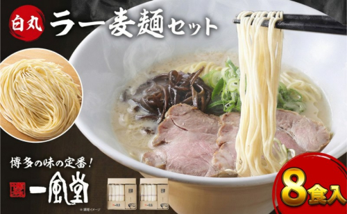 一風堂 白丸 ラー麦麺セット 8食入 豚骨ラーメン ラーメン とんこつ 2066050 - 福岡県大刀洗町