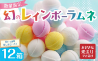 幻の「レインボーラムネ」12箱 【令和7年8月発送】