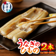 a15-647　珍しい「ウナギのひもの」【静岡産】