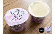 ラムレーズンアイスクリーム110ml✕12個 | アイスクリーム 人気 大容量 有名 アイスセット 詰め合わせ スイーツ ジェラート 久保田食品 高知県 南国市