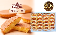 No.222 マドレーヌ詰合せ 20個入り ／ しっとり 自信作 菓子 スイーツ デザート 愛知県