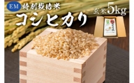 【2023年産】EM特別栽培米こしひかり　玄米5kg mi0068-0003