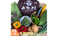 [№5334-0257]【定期便4回】＜京野菜の京都やおよし＞丹波野菜詰め合わせセット《栽培期間中農薬不使用 野菜》※北海道・沖縄・離島への発送不可