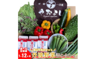 [№5334-0267]【定期便12回】＜京野菜の京都やおよし＞丹波野菜詰め合わせ 美山牛乳のセット《栽培期間中農薬不使用 野菜》※北海道・沖縄・離島への発送不可