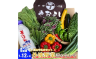 [№5334-0269]【定期便4回】＜京野菜の京都やおよし＞丹波野菜詰め合わせ 美山牛乳のセット《栽培期間中農薬不使用 野菜》※北海道・沖縄・離島への発送不可