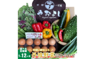 [№5334-0273]【定期便4回】＜京野菜の京都やおよし＞丹波野菜詰め合わせ 平飼い卵のセット《栽培期間中農薬不使用 野菜》※北海道・沖縄・離島への発送不可