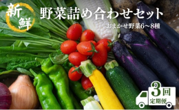 京都丹波の綺麗な水と澄んだ空気の中で育った、季節ごとの採れたて新鮮なお野菜を農家直送でお届けします。九条ネギを含むおまかせ野菜が6〜8種類程度入っております。農家が厳選した旬の朝採れ京野菜をご賞味くだ
