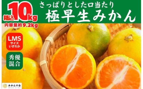 みかん 極早生 箱込 10kg (内容量約 9.2kg) S/M/Lサイズのいずれか 秀品 優品 混合 有田みかん 和歌山県産 【みかんの会】 2068293 - 和歌山県有田川町