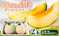 【2026年7月下旬～発送】アールスメロン 2玉 約3.2kg / メロン めろん 果物 フルーツ / 南島原市 / うえだメロン園 [SAD011]