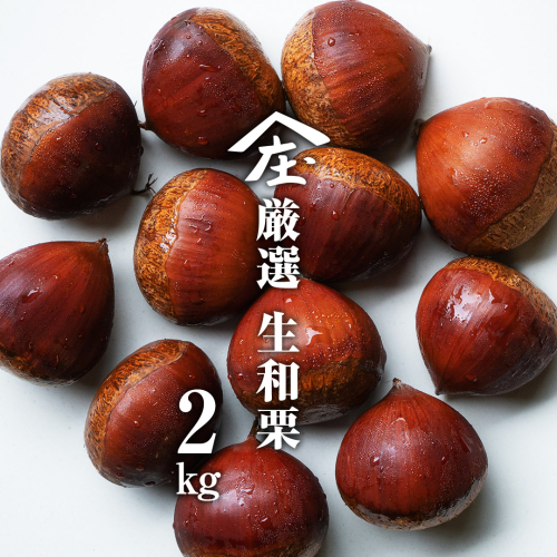 厳選 生和栗 2kg 【庄七農園】 栗 果樹 生栗 栗ご飯 渋皮煮 甘露煮 マロングラッセ フルーツ 茨城県 和栗  [BK41-NT] 2068709 - 茨城県つくばみらい市