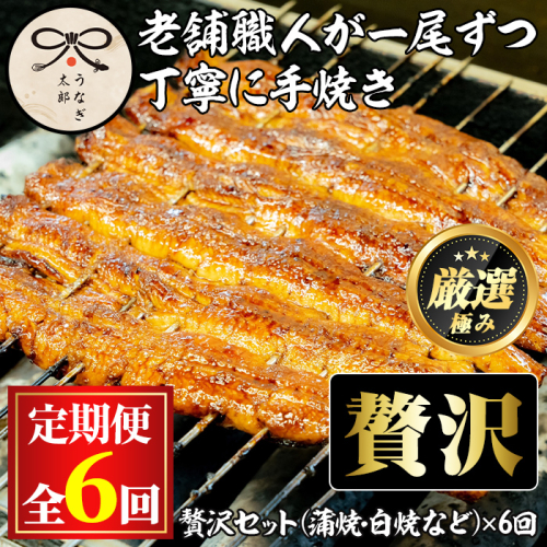 【3003712b】＜定期便・全6回(連続)＞鹿児島県産うなぎの贅沢セット(蒲焼き・白焼き・きざみ鰻など) うなぎ 高級 ウナギ 鰻 国産 たれ 鹿児島 蒲焼き 白焼き きざみ鰻 焼肝串 【うなぎ太郎】 2069256 - 鹿児島県東串良町