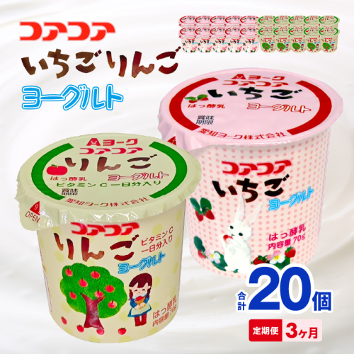 【3ヶ月定期便】愛知ヨーク　コアコアいちご・コアコアりんご　20個入［108A07-T］ 2069402 - 愛知県小牧市