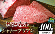 【定期便6回】栃木県共通返礼品 とちぎ和牛シャトーブリアン（ヒレ肉）(200g×2)×6回｜定期便6回 黒毛 和牛 牛肉 焼肉 ステーキ BBQ バーベキュー ブランド和牛 とろける 霜降り 赤身 切り落とし ふるさと 納税 イチオシ おすすめ 栃木県 下野市 しもつけ市