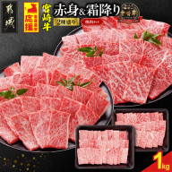 畜産農家応援! 宮崎牛焼肉2種セット500g×2パック_19-N202