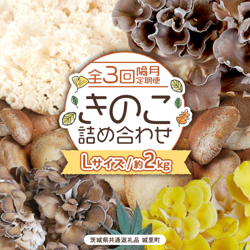 《 全３回 隔月定期便 》 きのこ の 詰め合わせ Lサイズ 約2kg （茨城県共通返礼品 城里町） 定期便 キノコ 舞茸 あわび茸 たもぎ茸 しいたけ 花びら茸 セット 鍋 炒め物 [CX010sa] 2069672 - 茨城県桜川市