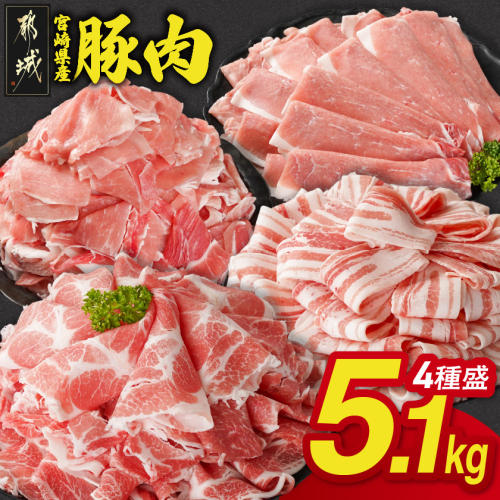 宮崎県産豚肉たっぷり5.1kgセット_AC-N202-51 2069683 - 宮崎県都城市