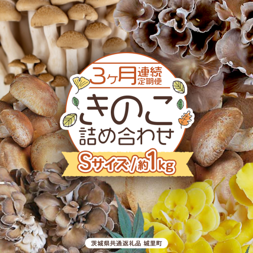 《 ３ヶ月 連続定期便 》 きのこ の 詰め合わせ Sサイズ 約1kg （茨城県共通返礼品 城里町） 定期便 キノコ 舞茸 あわび茸 たもぎ茸 しいたけ ぶなしめじ セット 鍋 炒め物 [CX005sa] 2069696 - 茨城県桜川市
