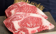 【数量限定】熊本 和牛 あか牛 ロースステーキ 約200g×2枚 【有限会社 三協畜産】 [AYCQ008]