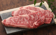 【数量限定】【GI認証】くまもとあか牛サーロインステーキ 約200g×3枚 【有限会社 三協畜産】 [AYCQ023]
