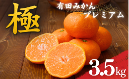 私どもの園地のある有田郡では、適地適作の政策があったさいに、みかんに適した土地柄、気候であることから、長年みかん作りに励み、「有田みかんプランド」でおいしいみかんをお届けしてまいりました。しかし、みか