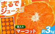 マーコット約3kg 長与/JAじげもん長与直売所 [EAF006]