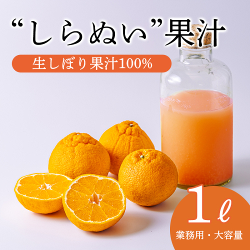 濃厚な甘さ しらぬいの手搾り果汁1L(業務用)  TF0816-P00074 2071067 - 宮崎県高原町