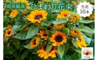 南房総産 生花（ひまわり）花束 10本 mi0070-0001
