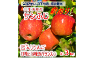【009-47】信州のサンふじ　訳あり　3キロ！（りんご・リンゴ・林檎）