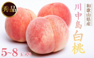 和歌山県産 川中島白桃 5～8玉入り 秀品 先行予約【2025年7月下旬以降発送】［MG7］