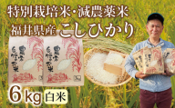 〈先行予約・新米〉減農薬米 こしひかり  6kg(3kg×2袋)／令和7年 福井県産 （白米）2025年11月発送 人気品種 少量サイズ便利