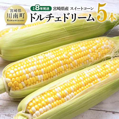 【令和8年発送】宮崎県産とうもろこし　スィートコーン「ドルチェドリーム」5本 【 とうもろこし スイートコーン コーン 野菜 】 2072074 - 宮崎県川南町