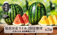 先行予約 尾花沢産スイカ 2回定期便 大玉 スイカ 金色羅皇 こんじきらおう 全2回 7月下旬～8月中旬頃発送 2025年産 令和7年産 kb-tksu2