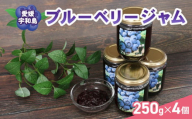 ブルーベリー ジャム 自家製  250g ×4個 計1kg 夢萬開 ブルーベリージャム berry 手作り 瓶 果物 くだもの フルーツ デザート ポリフェノール パン 朝食 ヨーグルト アイス お菓子 おすすめ アレンジ 農家直送 産地直送 数量限定 国産 愛媛 宇和島 J015-105002